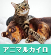 アニマルカイロ