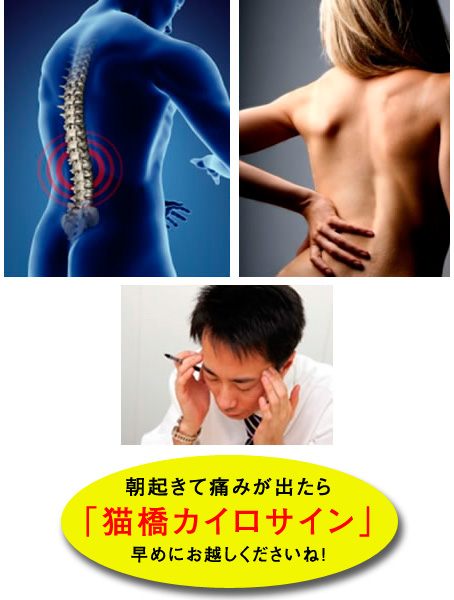 猫橋カイロサイン